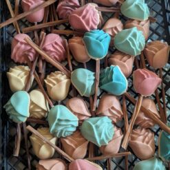 Manufaktur Sweet Crunchy Bit - Sucette Rose volaille et saumon