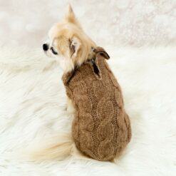 For Pets Only - Pull Old Money camel