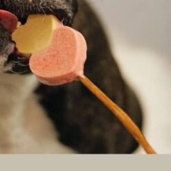 Manufaktur Sweet Crunchy Bit - Sucette en forme de coeur pour chien