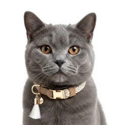 Milk&Pepper - Collier réglable Oroko pour chat Beige et écru