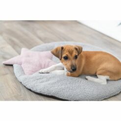Alternative view of Tapis Junior avec étoile