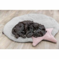 Tapis Junior avec étoile – Image 3