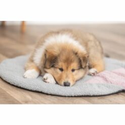 Tapis Junior avec étoile – Image 4
