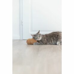 Jouet Cacahuète – Image 3