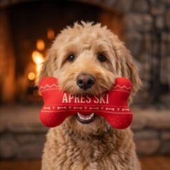 Haute Diggity Dog - Jouet Après Ski Bone Squeaker – Image 3