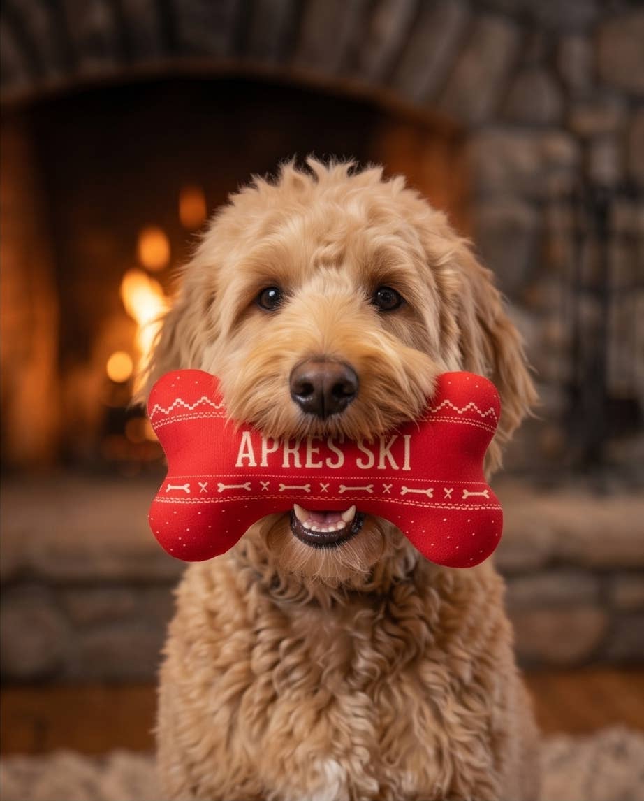 Haute Diggity Dog - Jouet Après Ski Bone Squeaker – Image 3