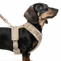 Alternative view of Milk&Pepper - Harnais Straps Aslan Taupe