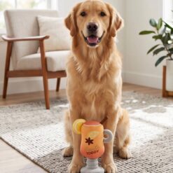 Haute Diggity Dog - Jouet Haute Toddy – Image 5