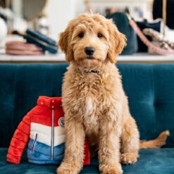 Alternative view of Haute Diggity Dog - Jouet Doudoune Muttcler Puffer Jacket